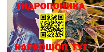 mdpv Краснокаменск