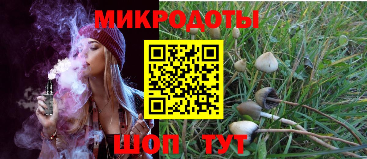 Псилоцибиновые грибы Psilocybine cubensis Кизляр