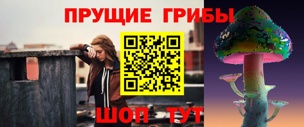 наркота  Вход с VPN  Кизляр  Псилоцибиновые грибы MAGIC MUSHROOMS 