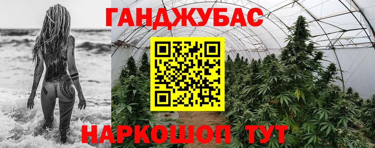 Бошки Шишки план  Вход с VPN  Каннабис семена  Канабис план  Кизляр  Канабис AK-47 